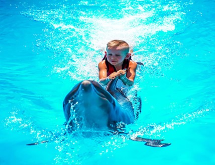 Individuelles Schwimmen