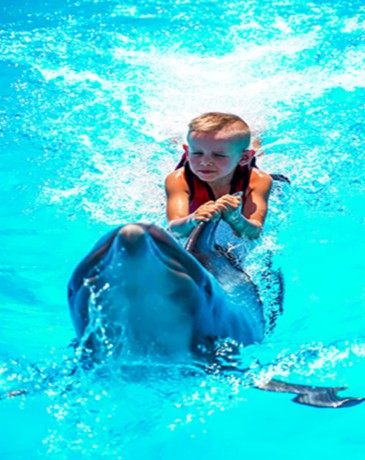 SWIMMING WITH DOLPHINS