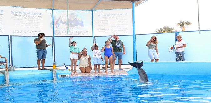 Playing with dolphin