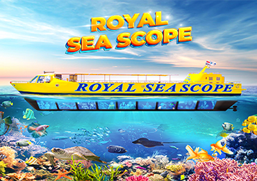 Semi-Submarine - Royal Seascope